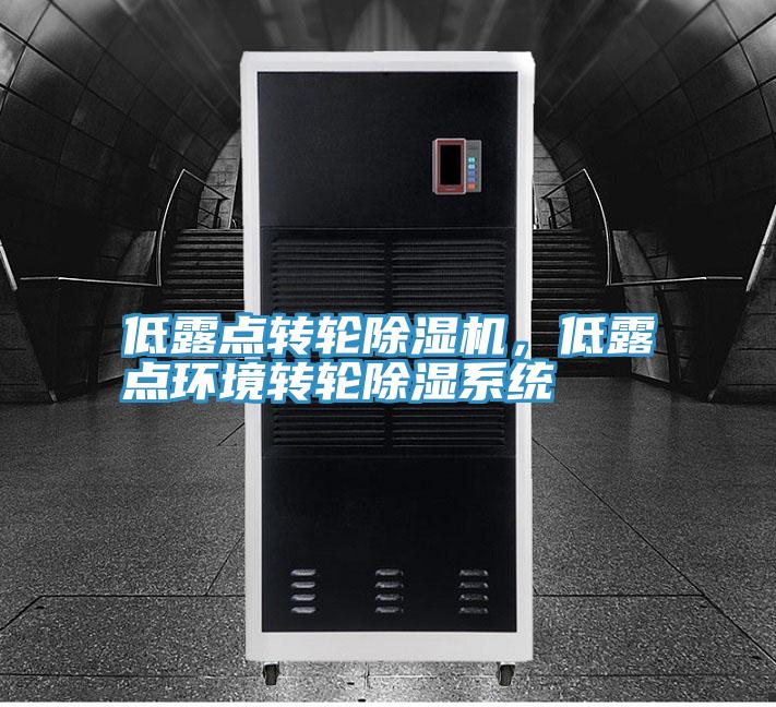 低露點(diǎn)轉(zhuǎn)輪除濕機(jī)，低露點(diǎn)環(huán)境轉(zhuǎn)輪除濕系統(tǒng)