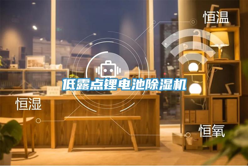 低露點(diǎn)鋰電池除濕機(jī)