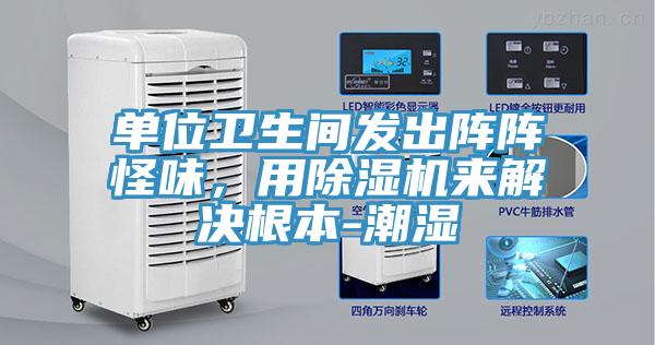 單位衛(wèi)生間發(fā)出陣陣怪味，用除濕機(jī)來(lái)解決根本-潮濕