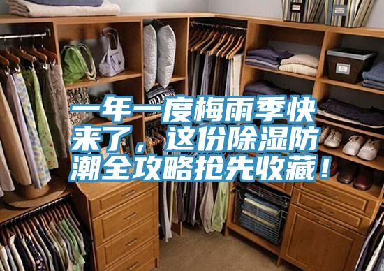 一年一度梅雨季快來了,這份除濕防潮全攻略搶先收藏!