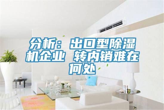 分析:出口型除濕機(jī)企業(yè) 轉(zhuǎn)內(nèi)銷難在何處