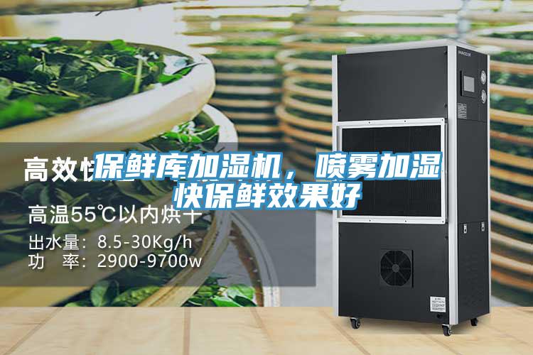 保鮮庫加濕機，噴霧加濕快保鮮效果好