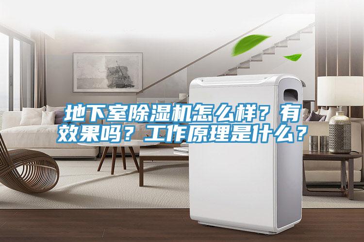 地下室除濕機怎么樣？有效果嗎？工作原理是什么？