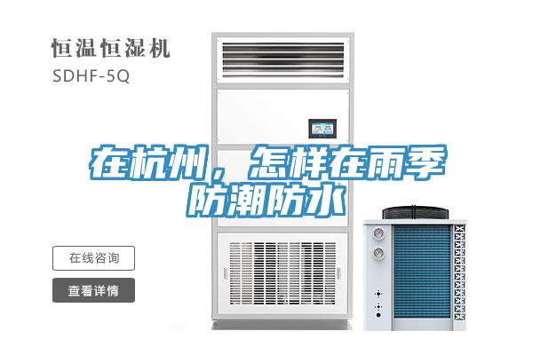 在杭州，怎樣在雨季防潮防水