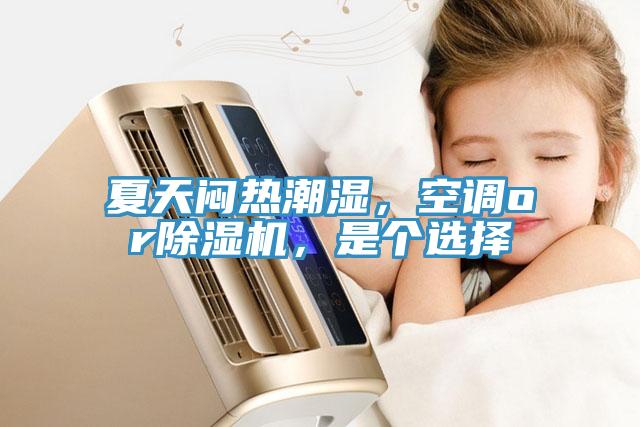 夏天悶熱潮濕,空調or除濕機,是個選擇