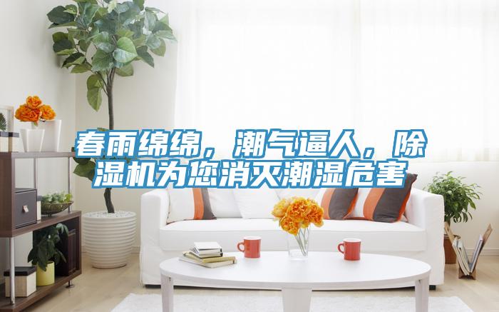 春雨綿綿，潮氣逼人，除濕機為您消滅潮濕危害
