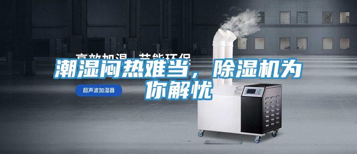 潮濕悶熱難當，除濕機為你解憂