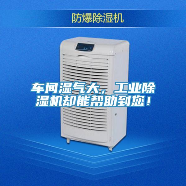 車間濕氣大，工業(yè)除濕機卻能幫助到您！