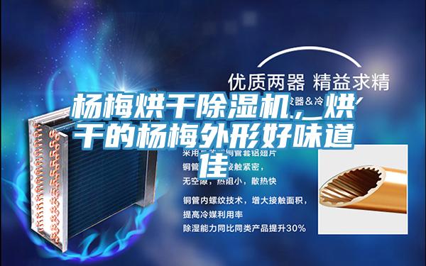 楊梅烘干除濕機(jī)，烘干的楊梅外形好味道佳