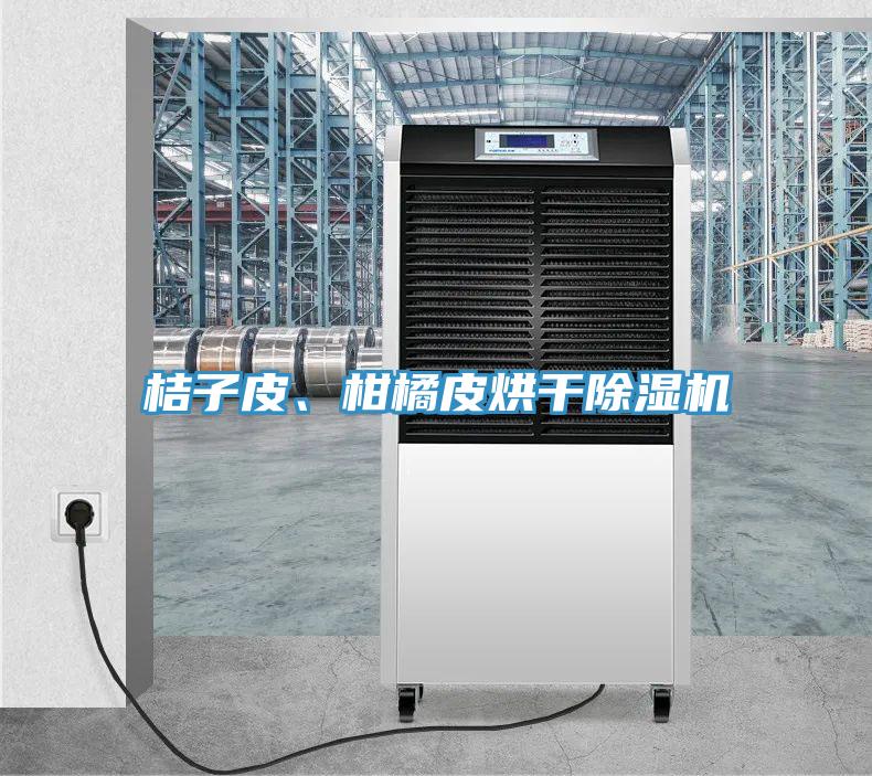 桔子皮、柑橘皮烘干除濕機(jī)