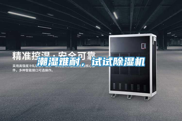 潮濕難耐,試試除濕機