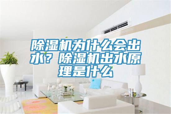 除濕機為什么會出水？除濕機出水原理是什么