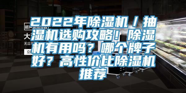 2022年除濕機(jī)／抽濕機(jī)選購攻略！除濕機(jī)有用嗎？哪個(gè)牌子好？高性價(jià)比除濕機(jī)推薦
