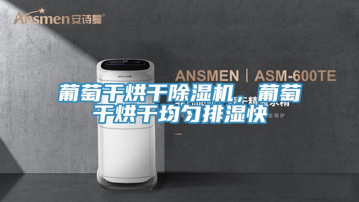 葡萄干烘干除濕機，葡萄干烘干均勻排濕快