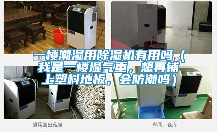 一樓潮濕用除濕機(jī)有用嗎（我是一樓濕氣重，想再鋪上塑料地板，會(huì)防潮嗎）