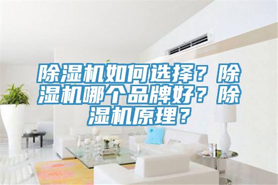 除濕機如何選擇？除濕機哪個品牌好？除濕機原理？