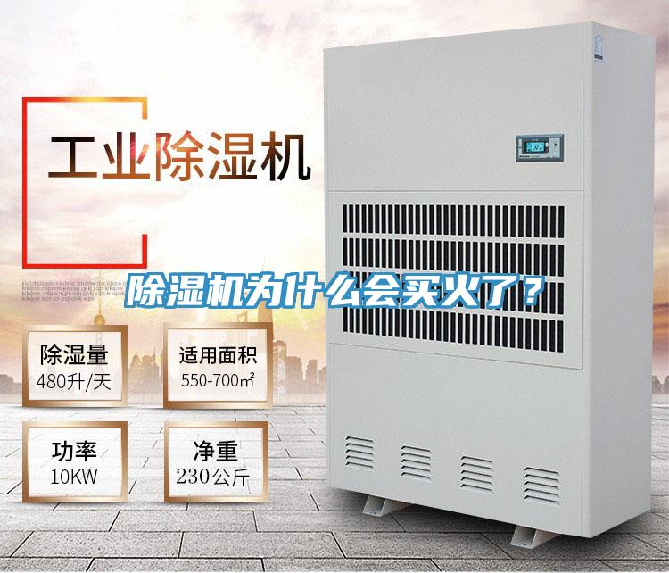 除濕機為什么會買火了？