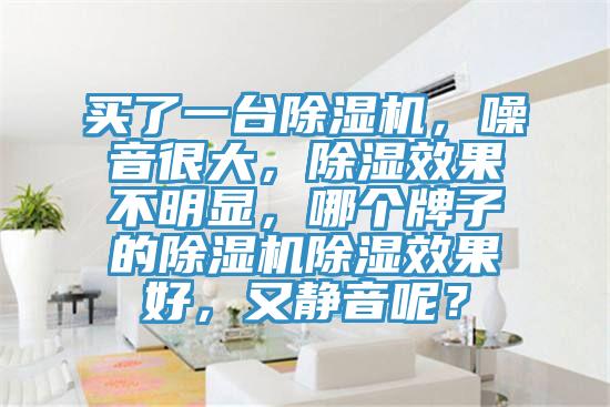 買了一臺除濕機，噪音很大，除濕效果不明顯，哪個牌子的除濕機除濕效果好，又靜音呢？