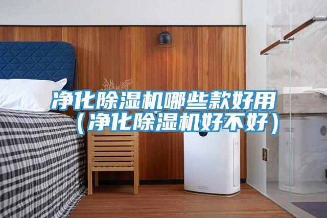 凈化除濕機哪些款好用(凈化除濕機好不好)