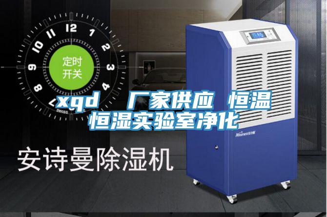 xqd 廠家供應 恒溫恒濕實驗室凈化