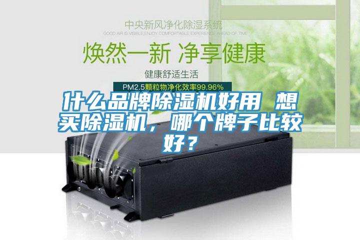 什么品牌除濕機好用 想買除濕機，哪個牌子比較好？