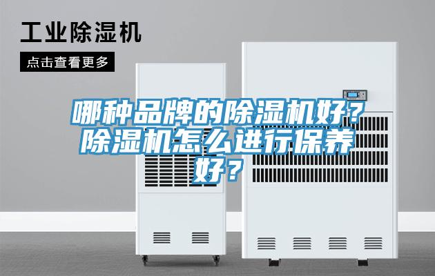 哪種品牌的除濕機好？除濕機怎么進行保養(yǎng)好？
