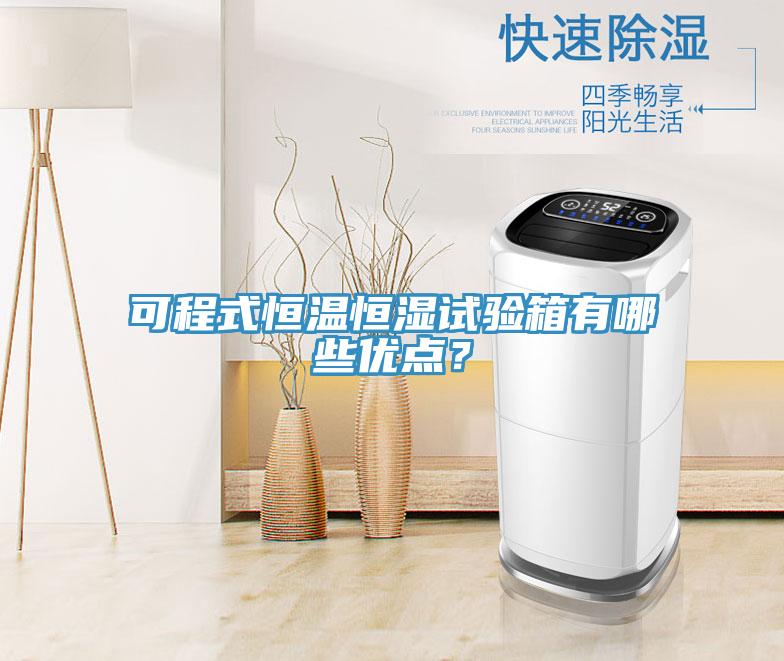 可程式恒溫恒濕試驗箱有哪些優點?
