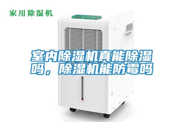 室內除濕機真能除濕嗎,除濕機能防霉嗎