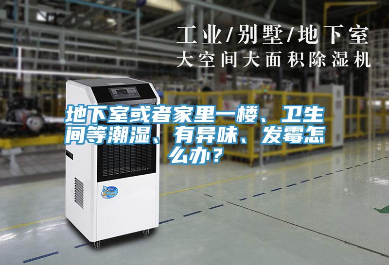 地下室或者家里一樓、衛生間等潮濕、有異味、發霉怎么辦？