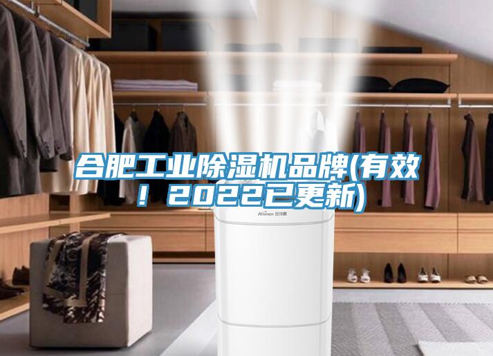 合肥工業(yè)除濕機(jī)品牌(有效!2022已更新)