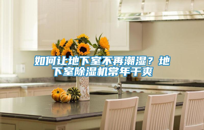 如何讓地下室不再潮濕？地下室除濕機常年干爽
