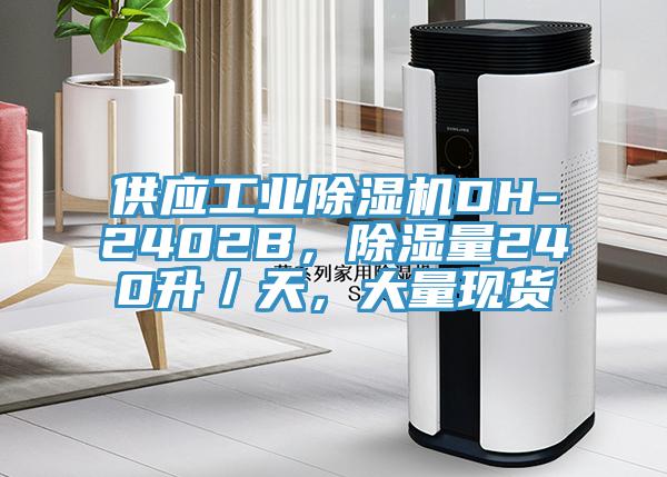 供應(yīng)工業(yè)除濕機(jī)DH-2402B，除濕量240升／天，大量現(xiàn)貨