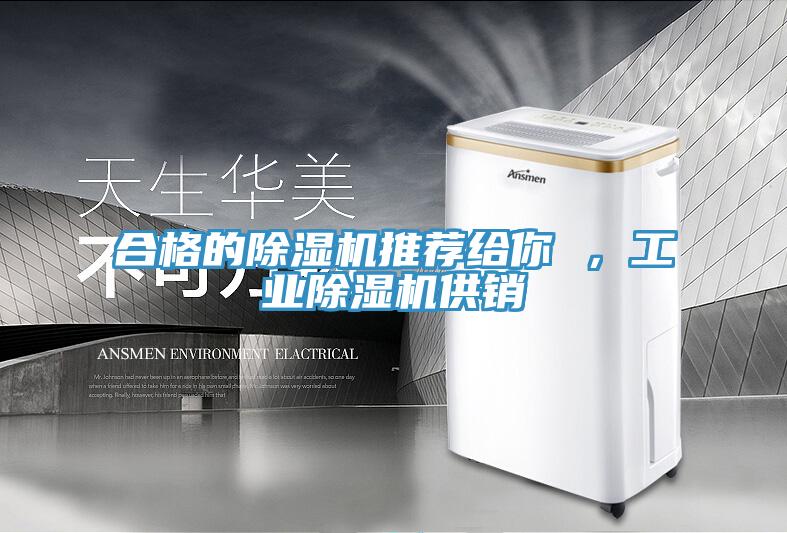 合格的除濕機(jī)推薦給你 ,工業(yè)除濕機(jī)供銷
