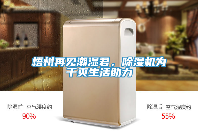 梧州再見潮濕君，除濕機為干爽生活助力