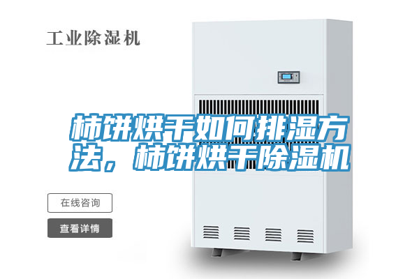 柿餅烘干如何排濕方法，柿餅烘干除濕機