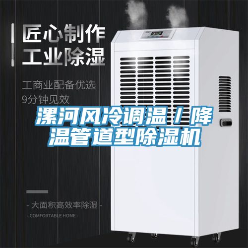 漯河風冷調溫/降溫管道型除濕機