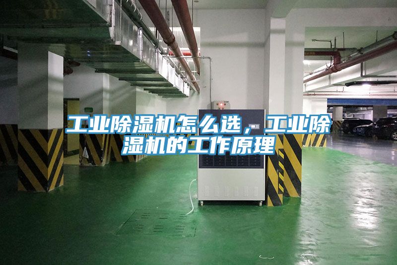 工業除濕機怎么選,工業除濕機的工作原理