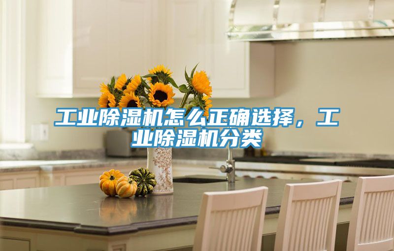 工業(yè)除濕機(jī)怎么正確選擇,工業(yè)除濕機(jī)分類