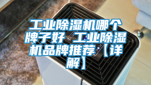 工業(yè)除濕機(jī)哪個牌子好 工業(yè)除濕機(jī)品牌推薦【詳解】
