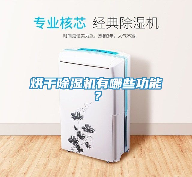 烘干除濕機有哪些功能？