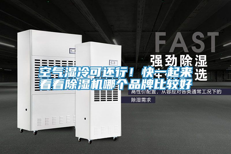 空氣濕冷可還行！快一起來看看除濕機哪個品牌比較好