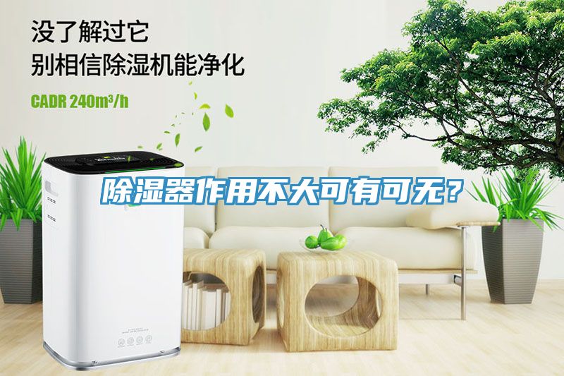 除濕器作用不大可有可無(wú)？