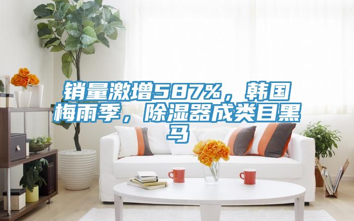 銷量激增587%，韓國(guó)梅雨季，除濕器成類目黑馬