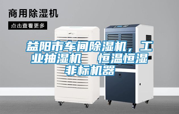 益陽市車間除濕機,工業(yè)抽濕機 恒溫恒濕非標機器