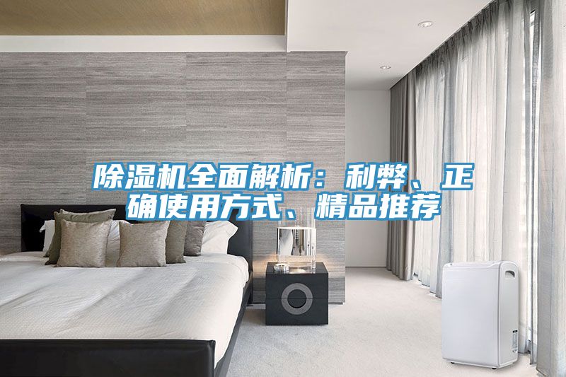 除濕機(jī)全面解析：利弊、正確使用方式、精品推薦