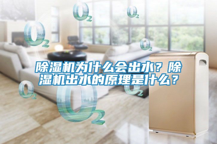 除濕機為什么會出水？除濕機出水的原理是什么？
