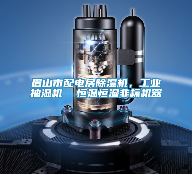 眉山市配電房除濕機，工業抽濕機  恒溫恒濕非標機器