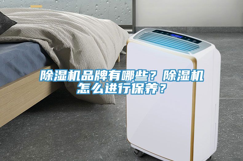 除濕機品牌有哪些？除濕機怎么進行保養？