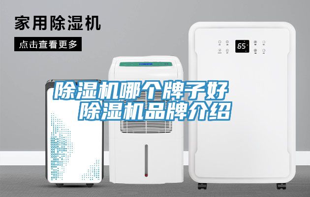 除濕機哪個牌子好 除濕機品牌介紹