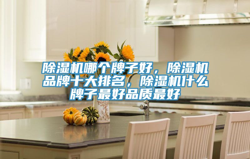 除濕機哪個牌子好，除濕機品牌十大排名，除濕機什么牌子最好品質最好